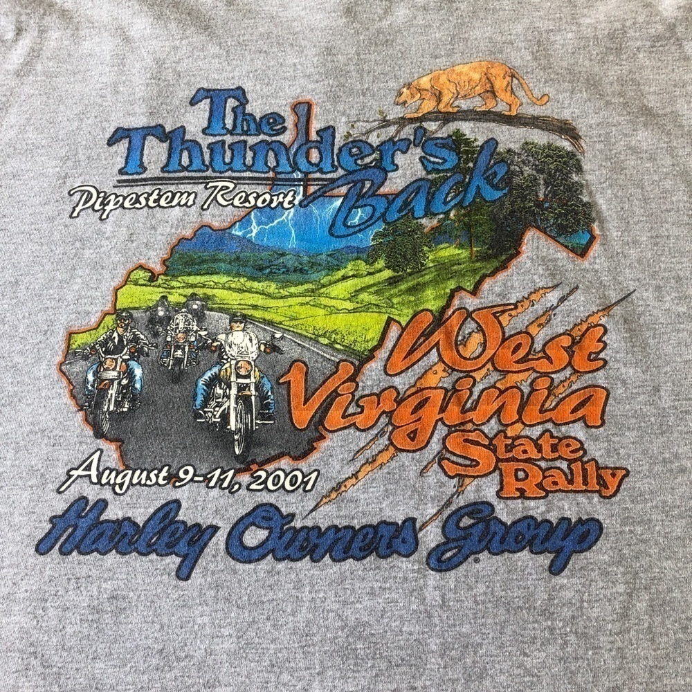 HARLEY Davidson Large Shirt West Virginia State Rally Gray Short Sleeve